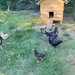 La Petite Ferme De