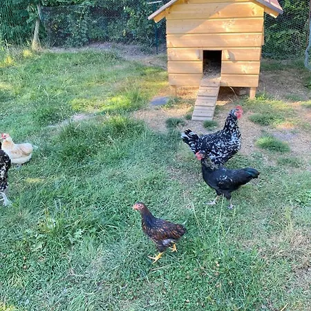 La Petite Ferme De