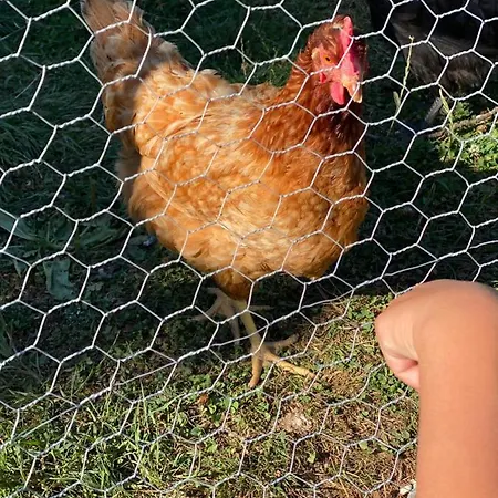 La Petite Ferme De Σπίτι διακοπών